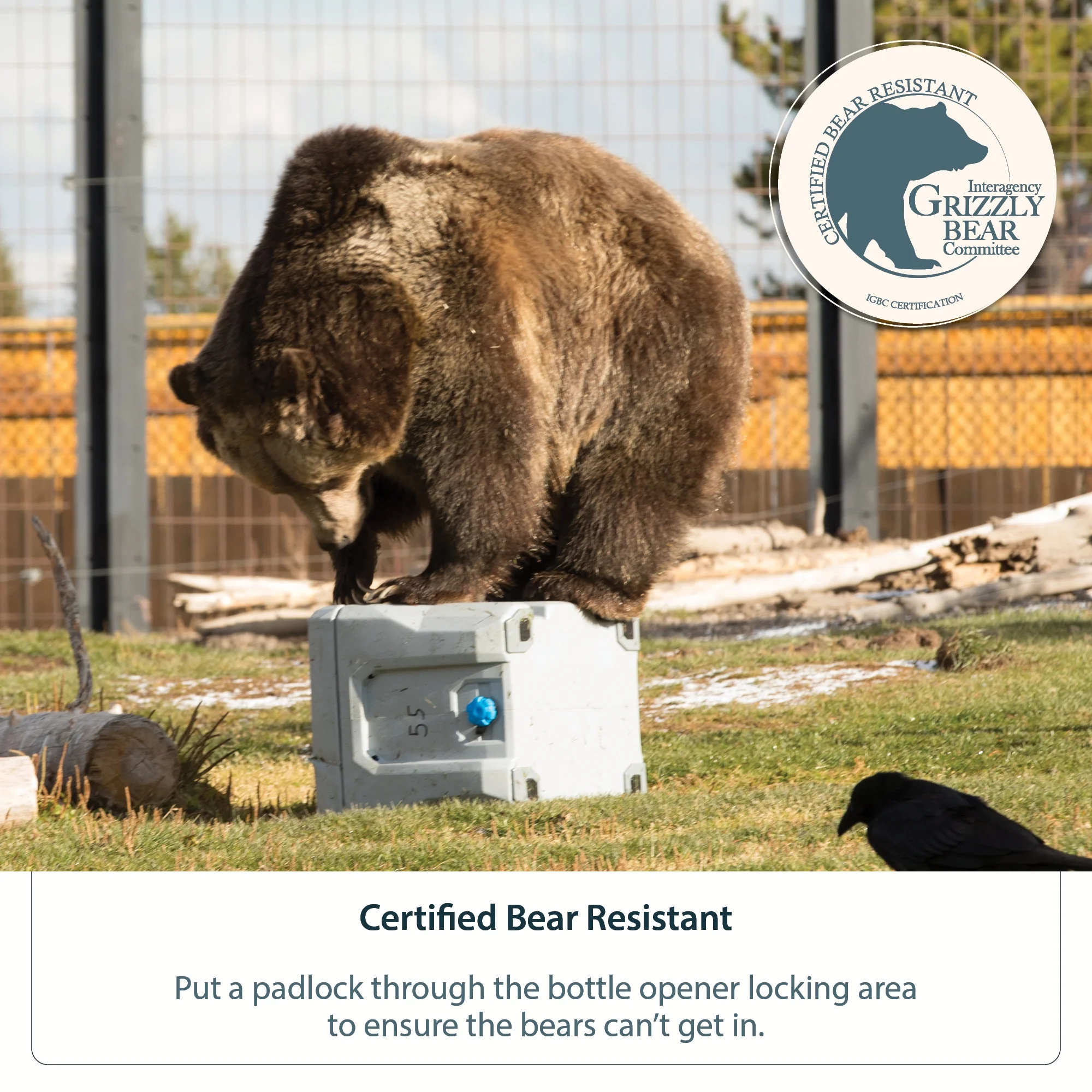 Lifetime 55 qt Bear-Resistant Camping Cooler Wheeled, Premium High Performance, Ice Retention, Hard Cooler, 60 Can Capacity, White (91072)