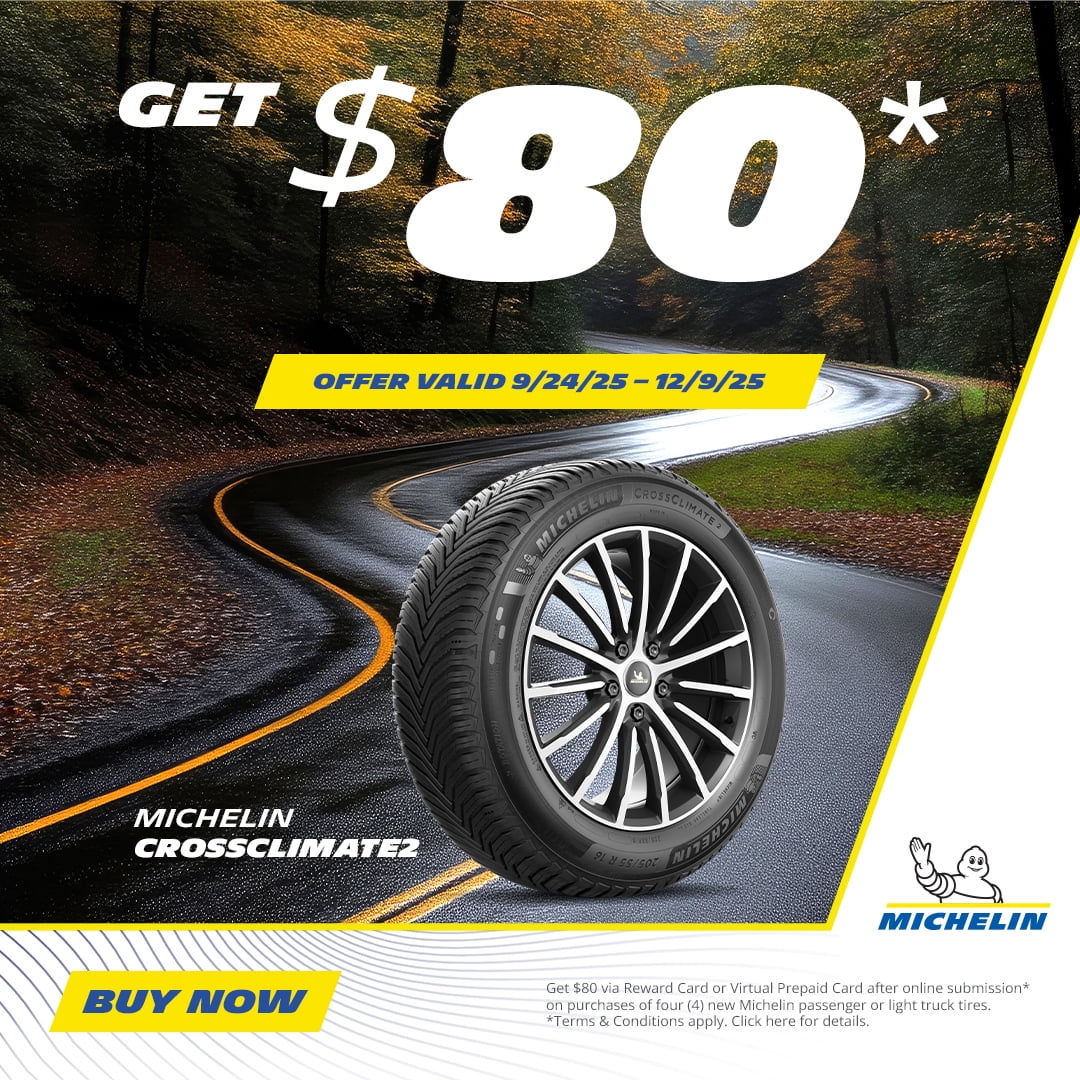 Michelin Energy Saver A/S All-Season P215/50R17 90V Tire