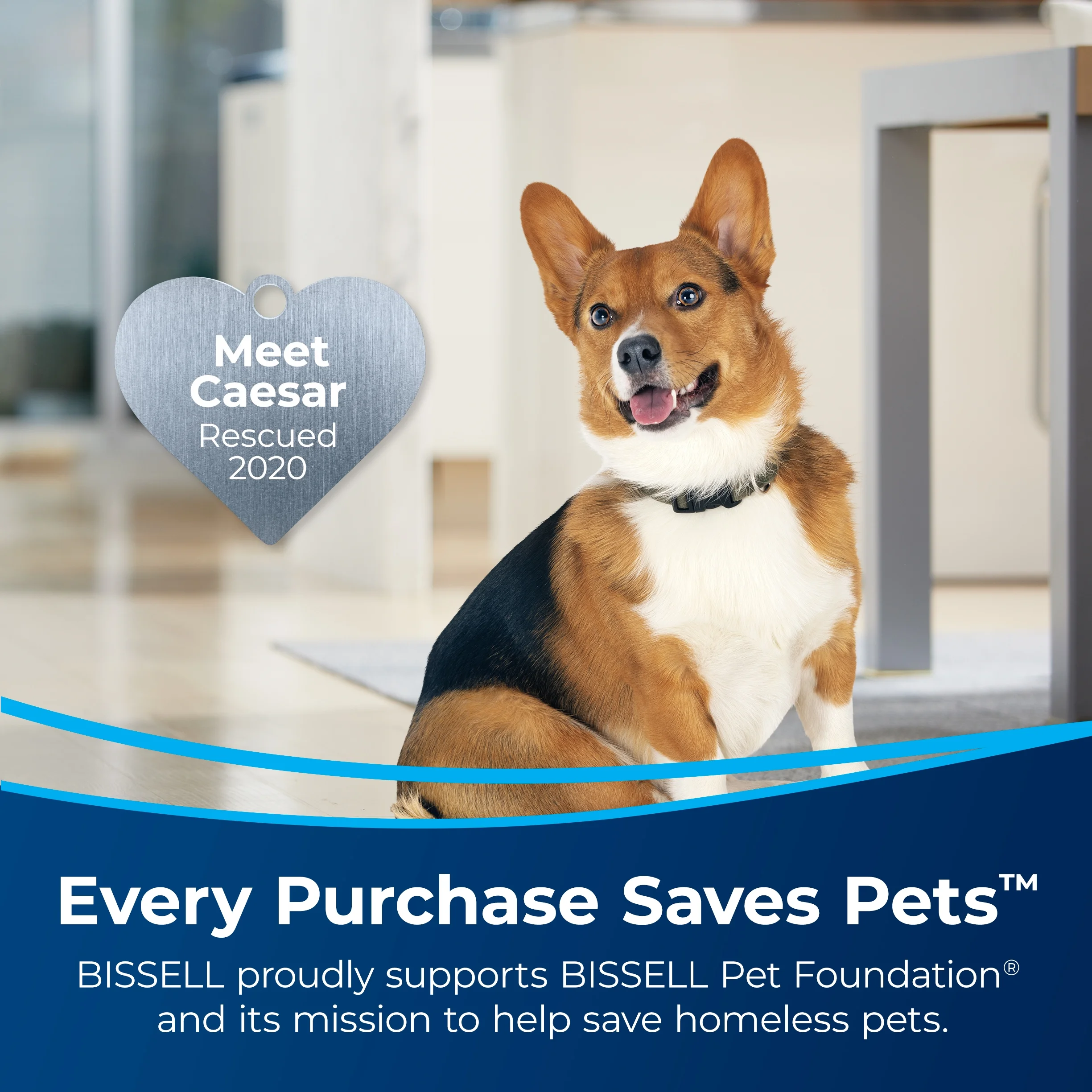 BISSELL PowerForce Helix Turbo Rewind Pet, Upright Vacuum, Pet Friendly, Automatic Cord Rewind, Powerful Pet Hair Pickup, Extra-Wide Cleaning Path, 3333, Black & Green